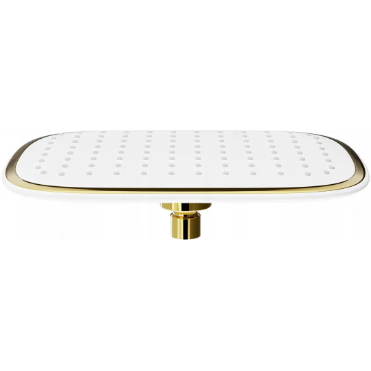 D-49 Head Shower 255x195mm - Image 2
