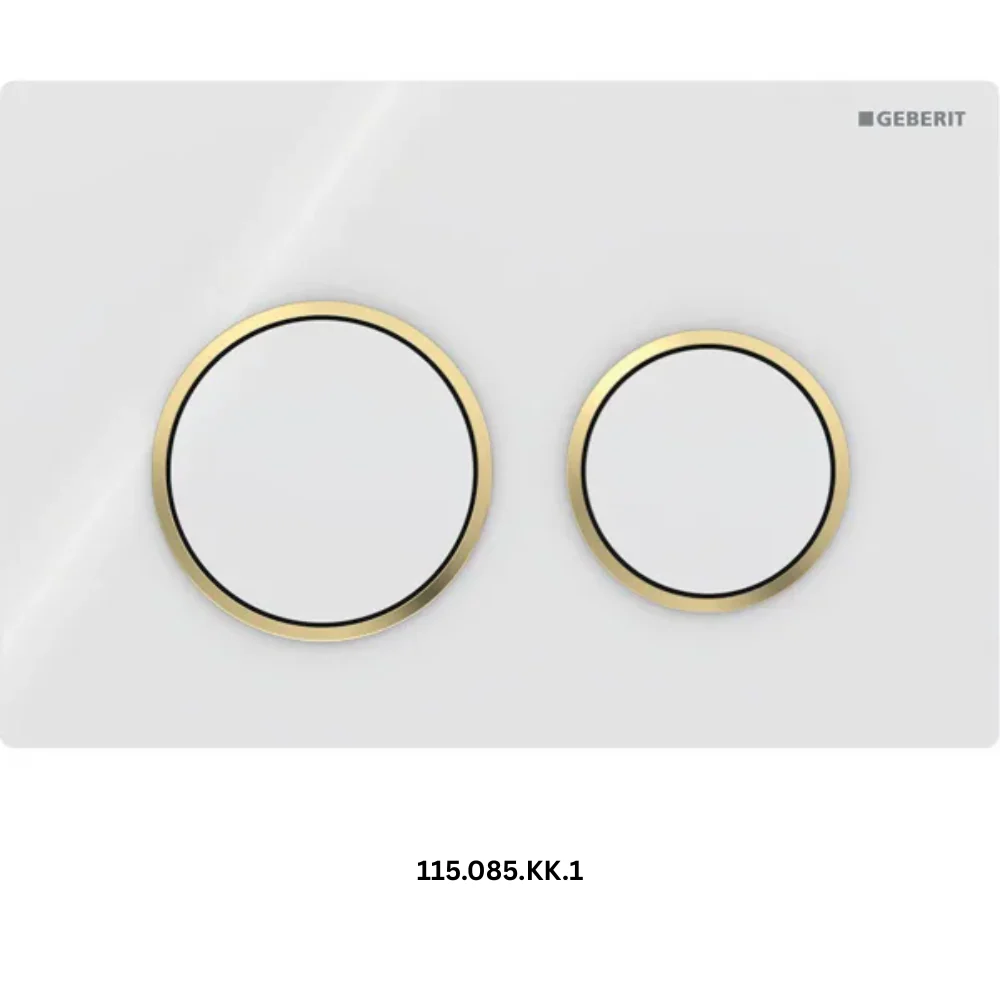 Omega 20 Flush plate