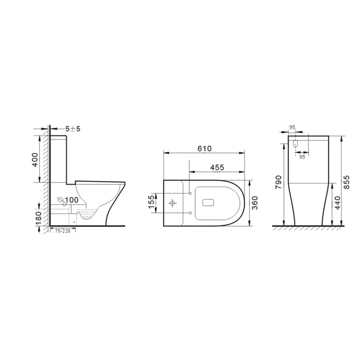 Spark Back to wall Toilet - Image 4